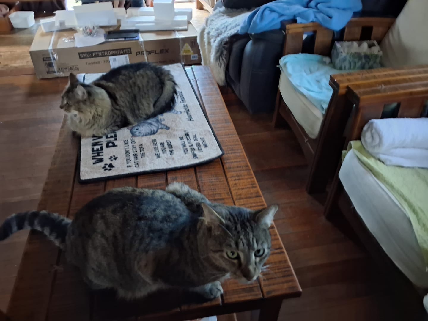 Customer photo review of Please Remember When Visiting Cats House Personalized Doormat