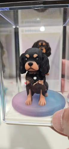 Reviewer holding a custom figurine of a black and tan dog in a clear DoDoWish Gift Box.