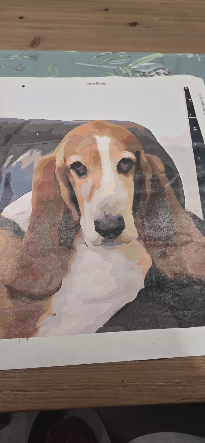 Customer photo review of Custom Paint By Numbers Kit
