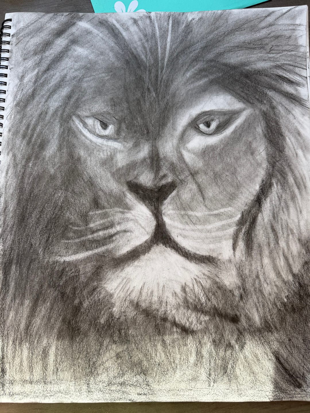 Customer photo review of Sketch Class (Lion)