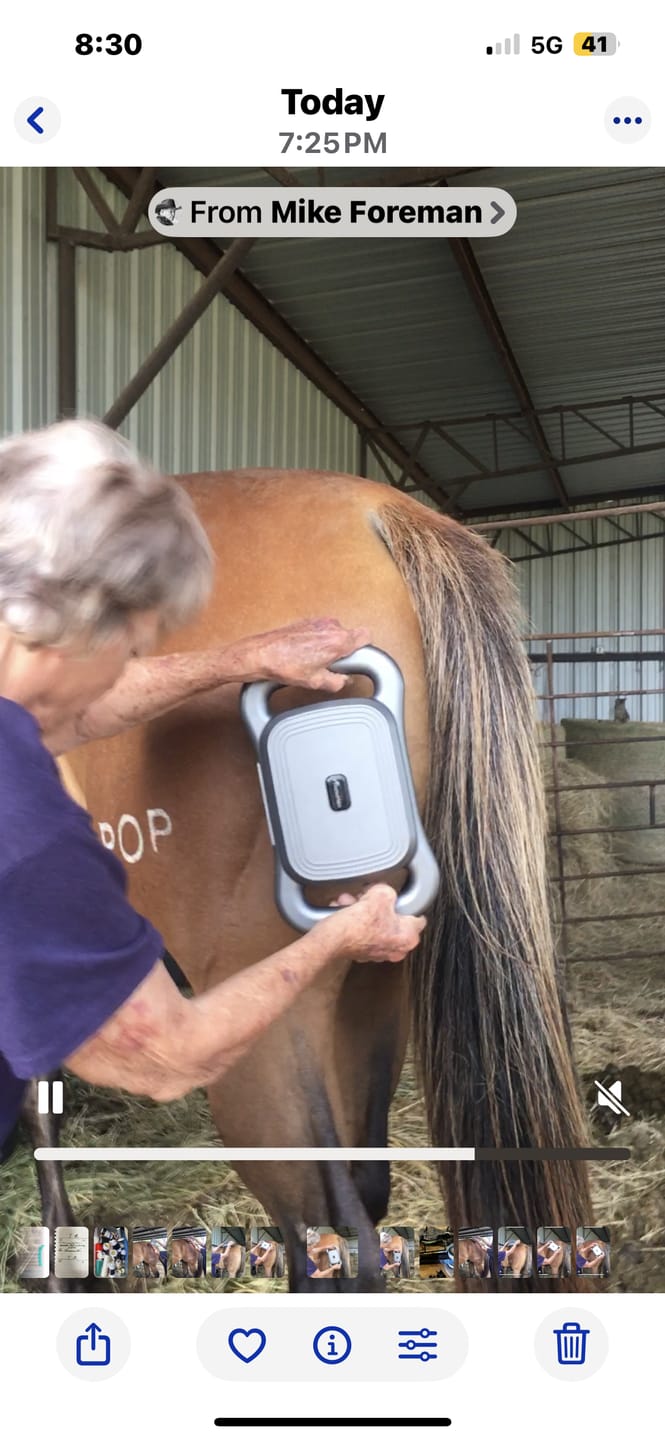 Customer photo review of HorseHalo™ 8 Heads Red Light Massage Gun