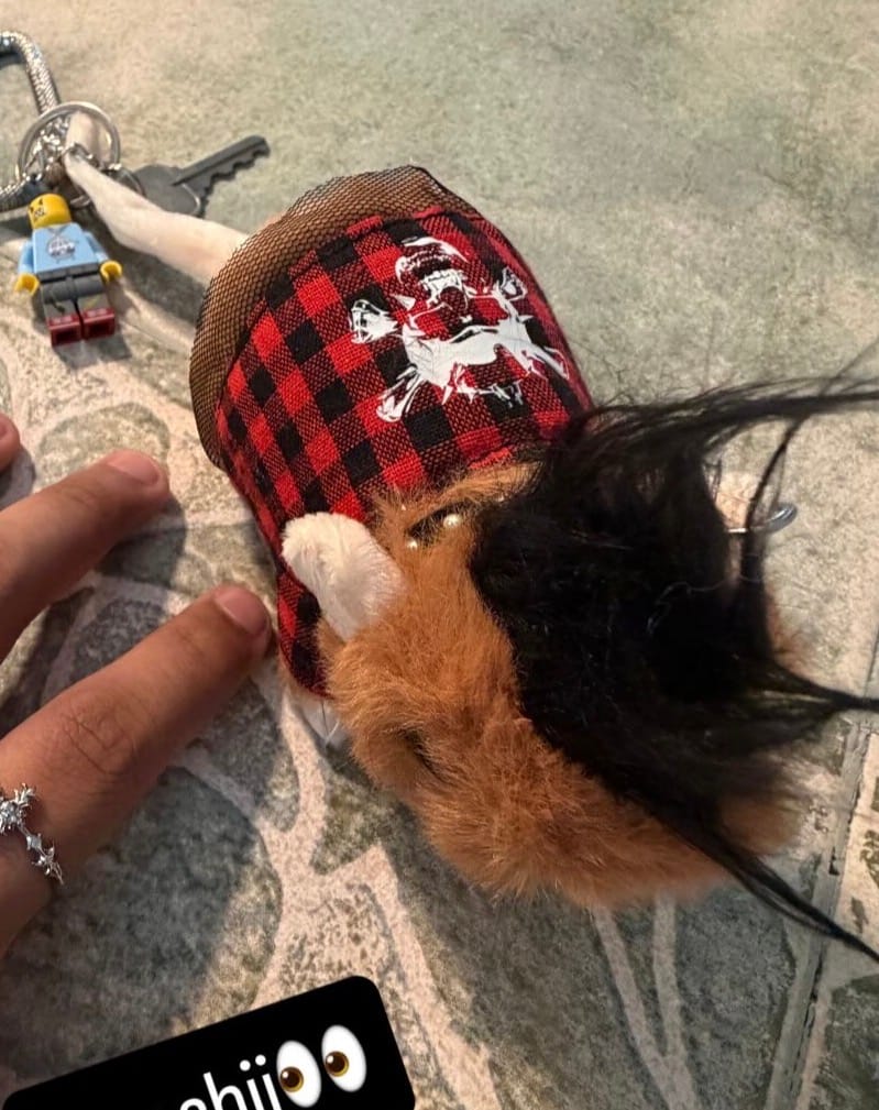 Customer photo review of PUNK RAT PLUSHIES