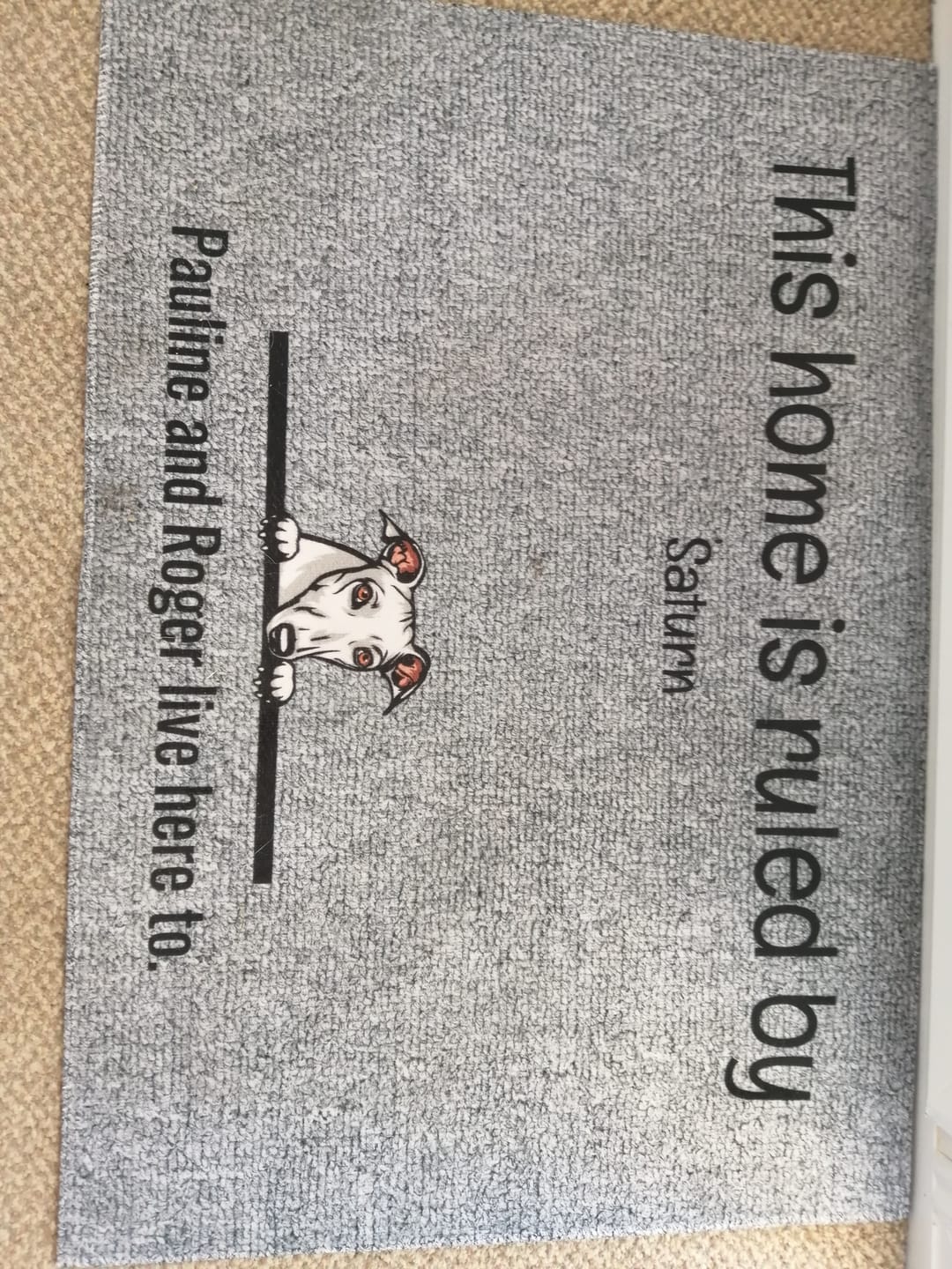 Customer photo review of All my furry friends - Personalised Doormat