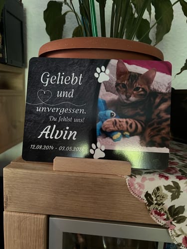 Customer photo review of Katzen Gedenktafel mit Foto & Spruch (UV- & Wetterfest)