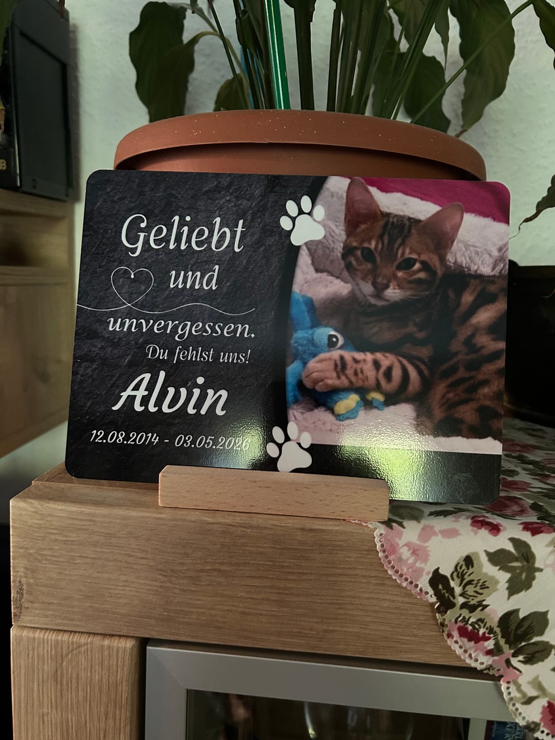Customer photo review of Katzen Gedenktafel mit Foto & Spruch (UV- & Wetterfest)