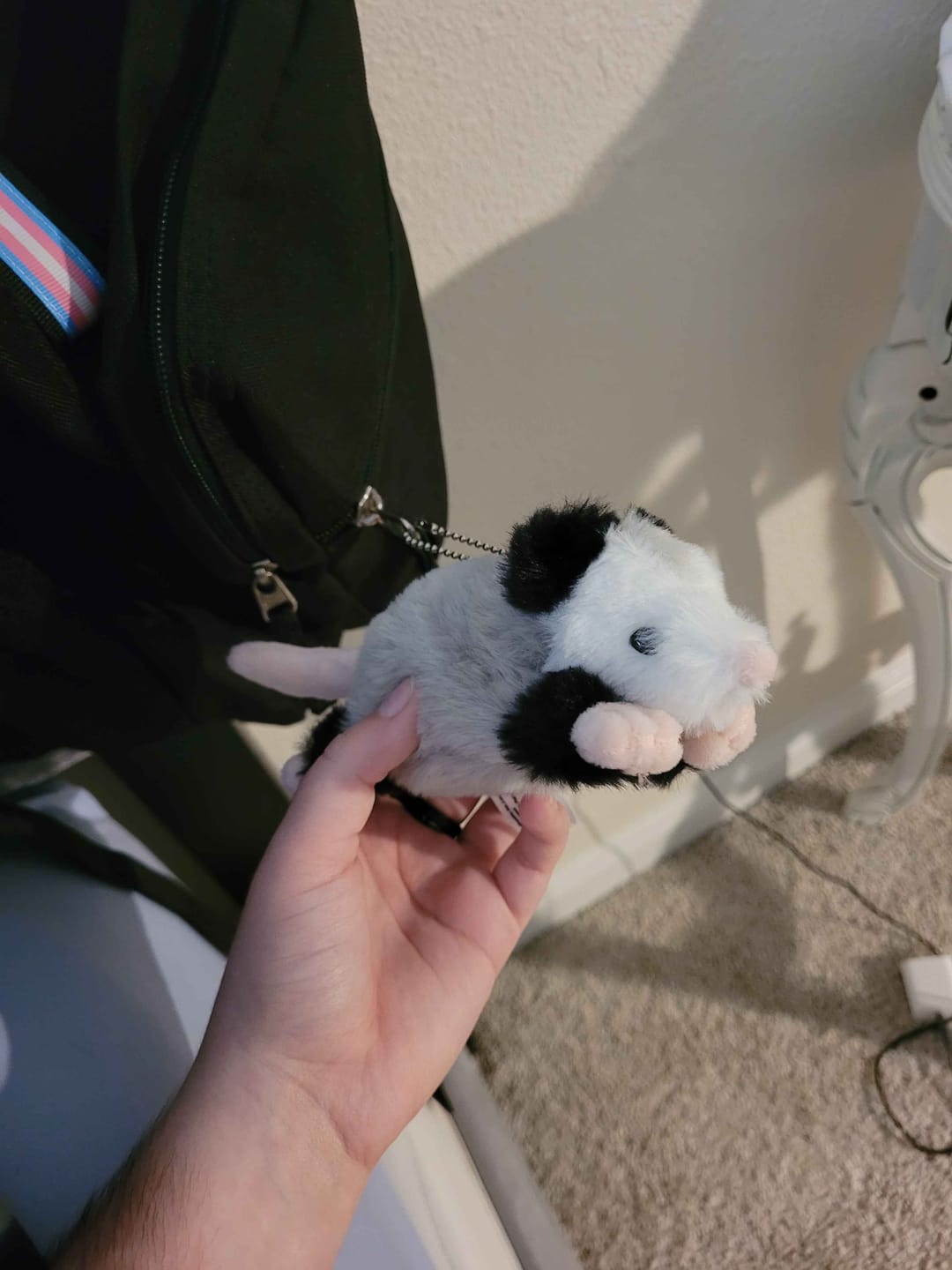 Customer photo review of Forgotten Peter the Opossum
