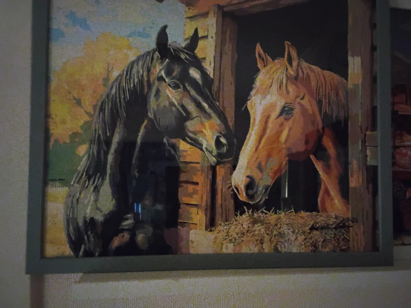 Customer photo review of Stable Companion