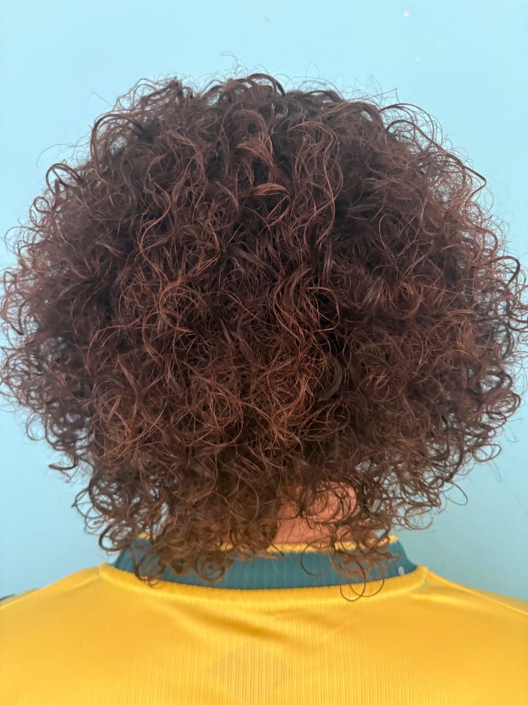 Customer photo review of Masterclass: Pura Hidratación – Rescate, Desenredo y Nutrición Profunda