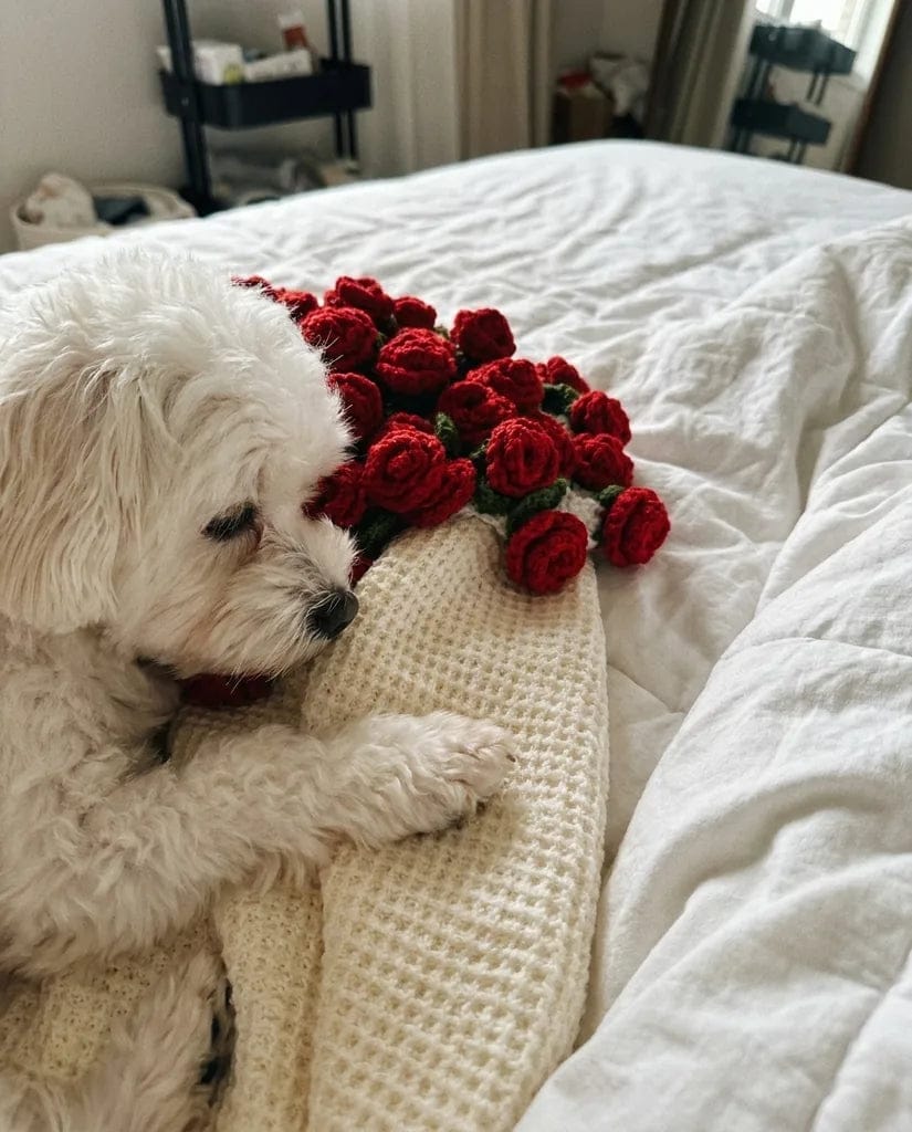 Customer photo review of Red Roses Bouquet Blanket