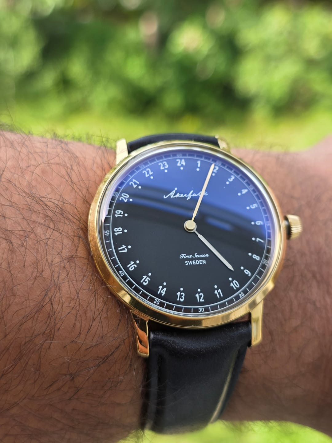Customer photo review of First Season Gold Black with Black Leather
