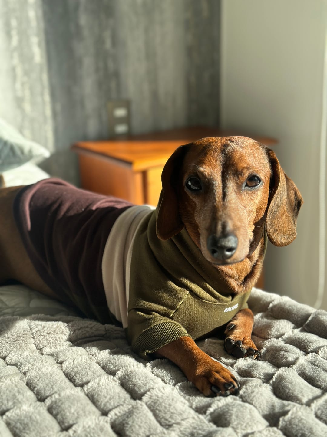 Customer photo review of Poleron de Algodón - Bosque Austral
