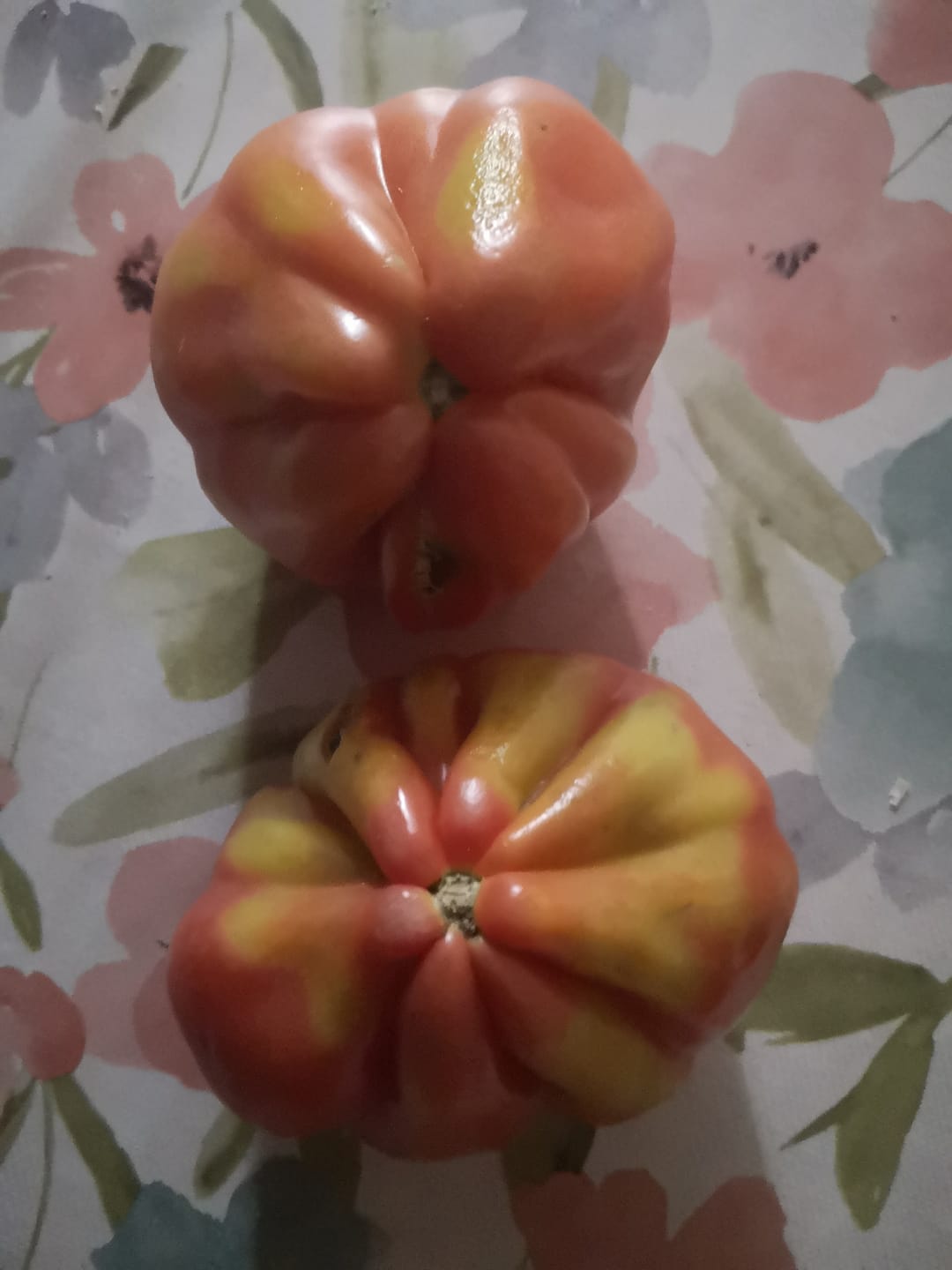Customer photo review of Tomaten Costoluto original  Bio Sizilien
