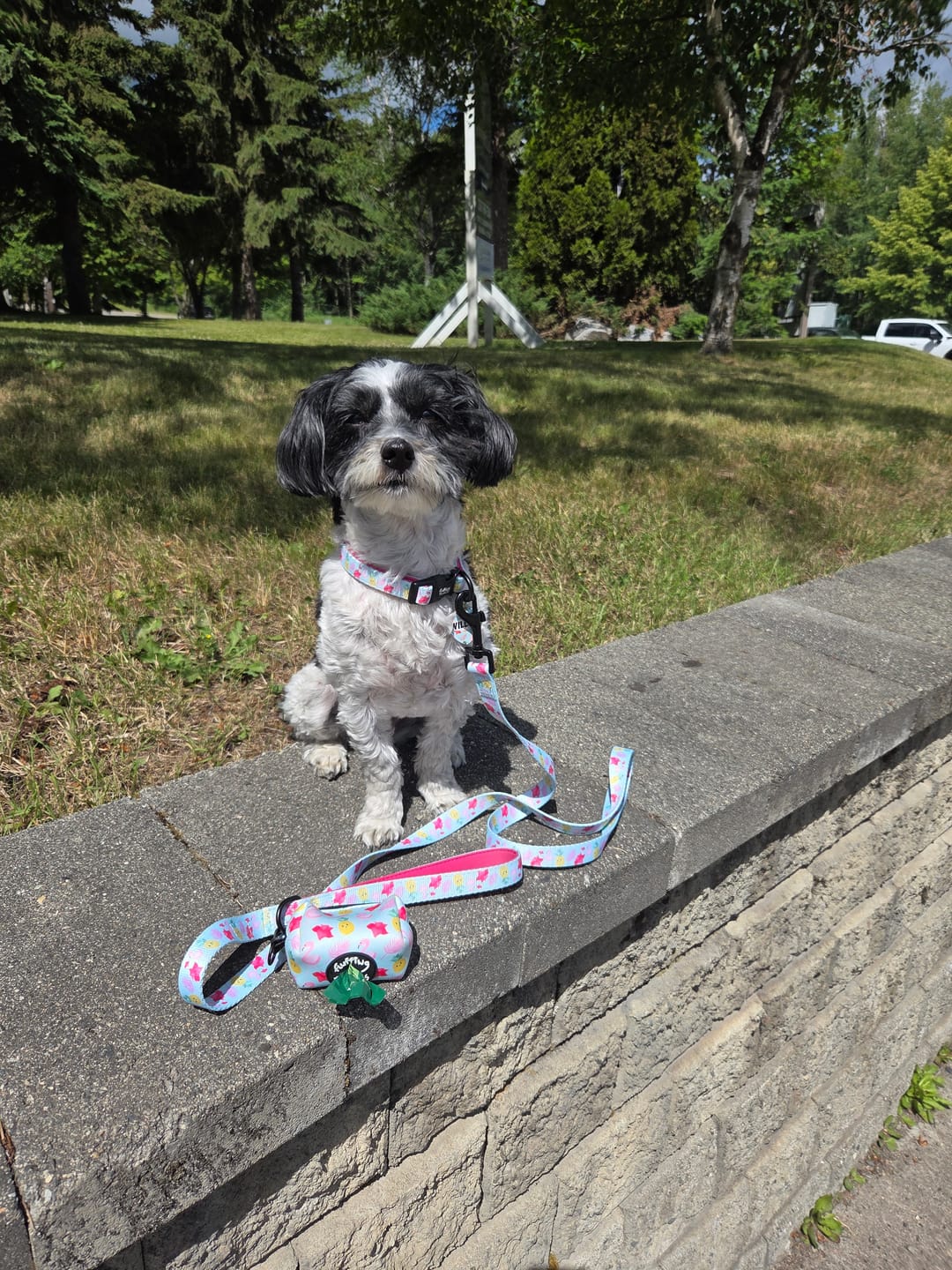 Customer photo review of Lead - Fluffingo