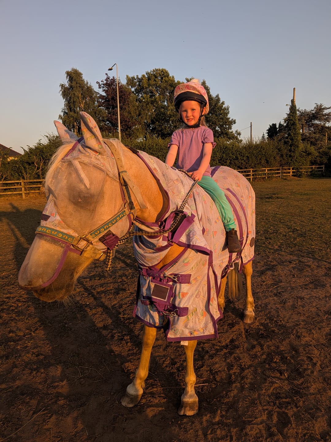 Customer photo review of NEW Ice Ice Lolly Fly Rug