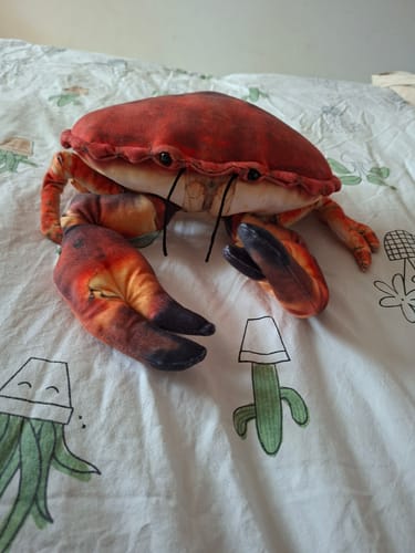Customer photo review of Realistic Edible Crab Plush – Soft Stuffed European Brown Crab