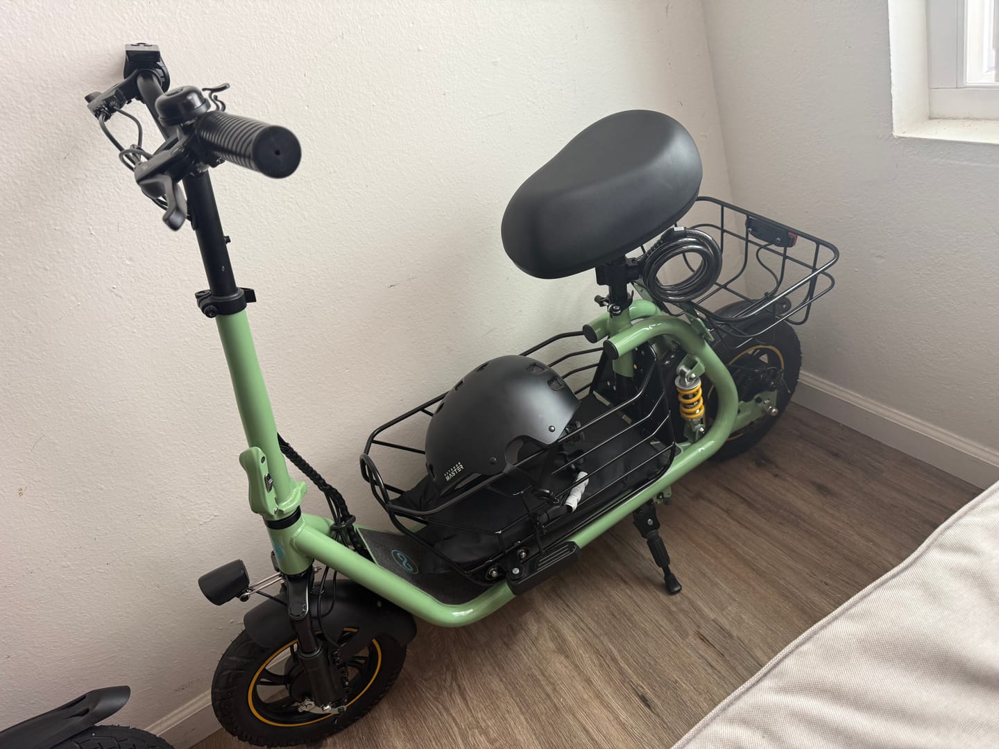 Customer photo review of Gyroor C1S Electric Scooter 800W – Front & Rear Baskets