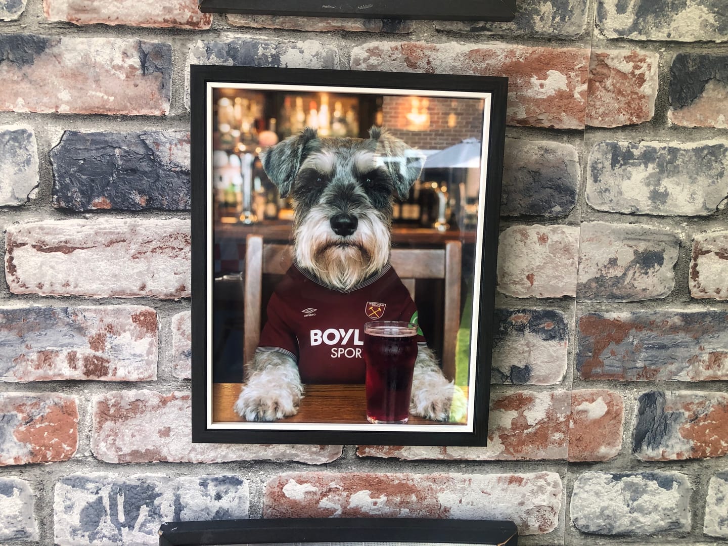 Customer photo review of Personalised Dog/Cat Football Image