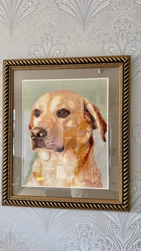 Customer's finished Custom Paint by Numbers Kit showing a dog portrait, framed and hanging on a patterned wall.
