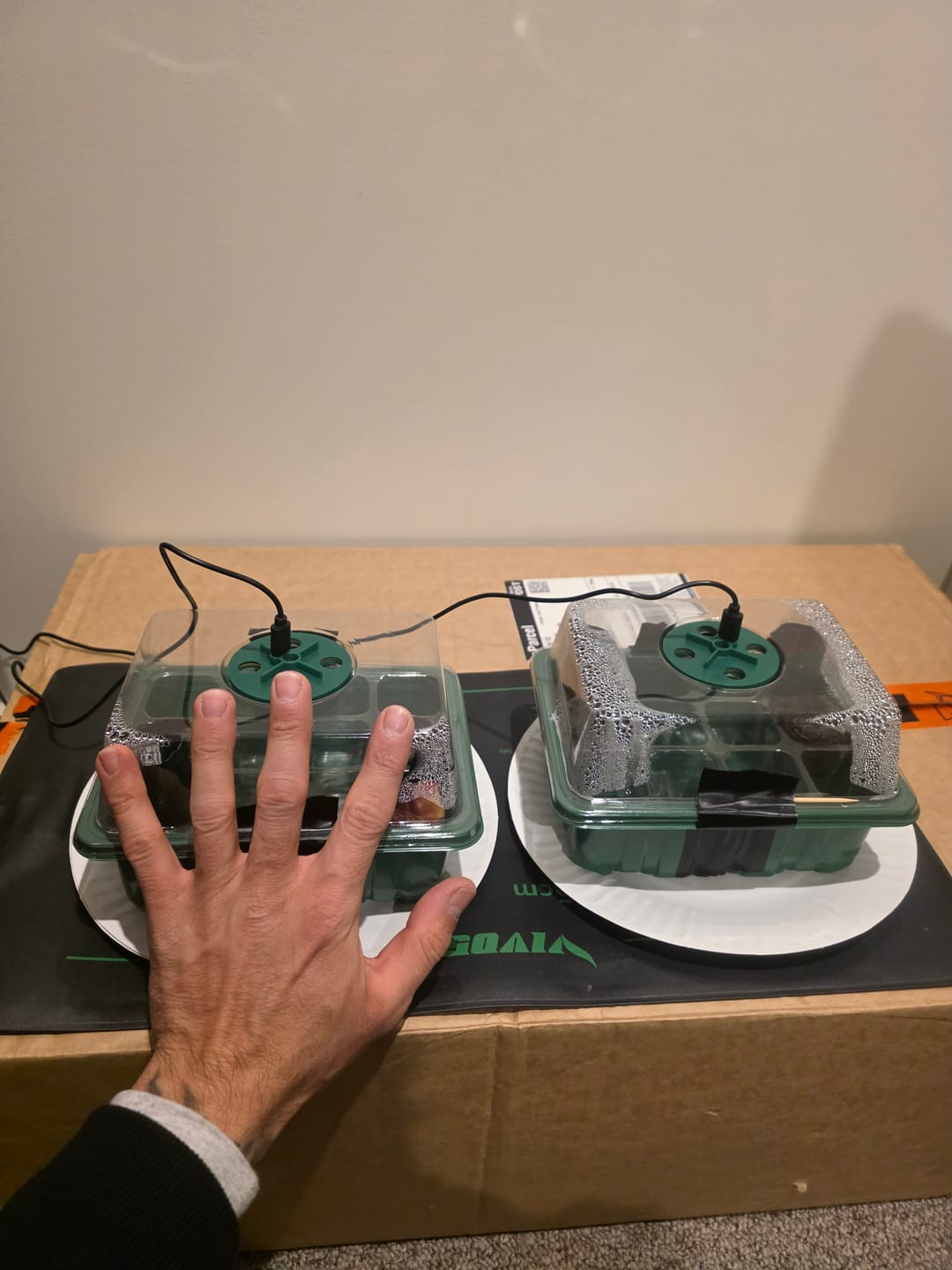 Customer photo review of GardenMate™ - Seed Starter Kit