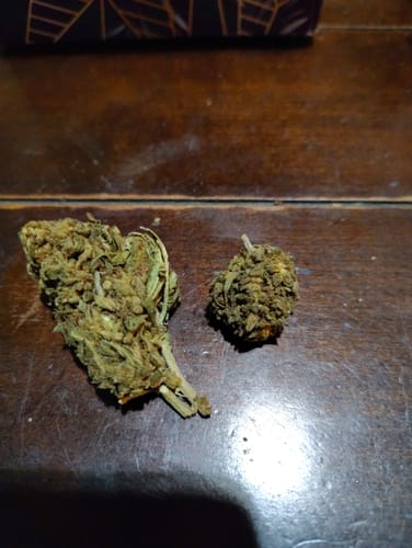 Northern Lights - Bulk - Indica photo review