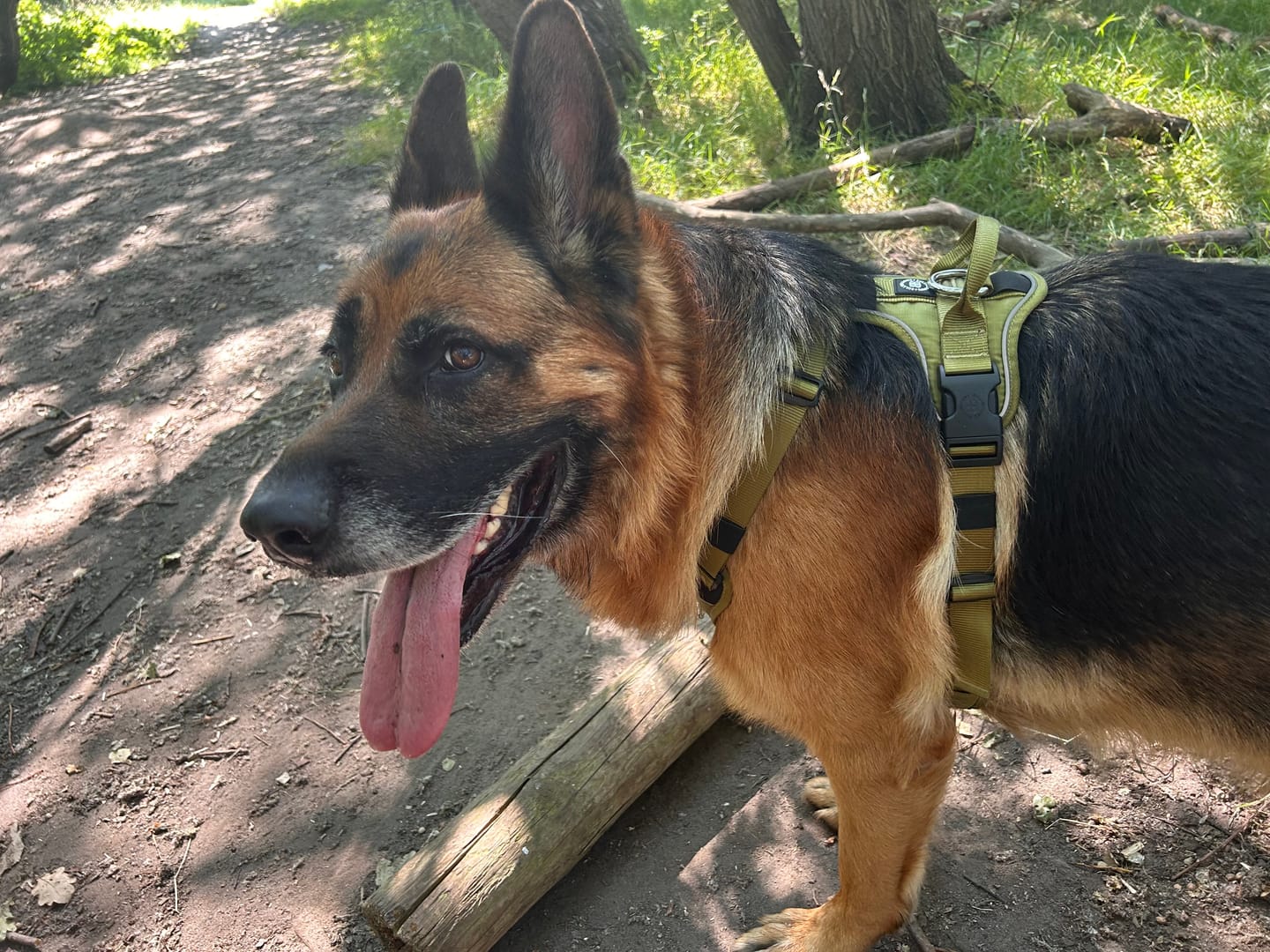 Customer photo review of Anti Pull Hurricane Harness Lighter | With Handle - Olive Green