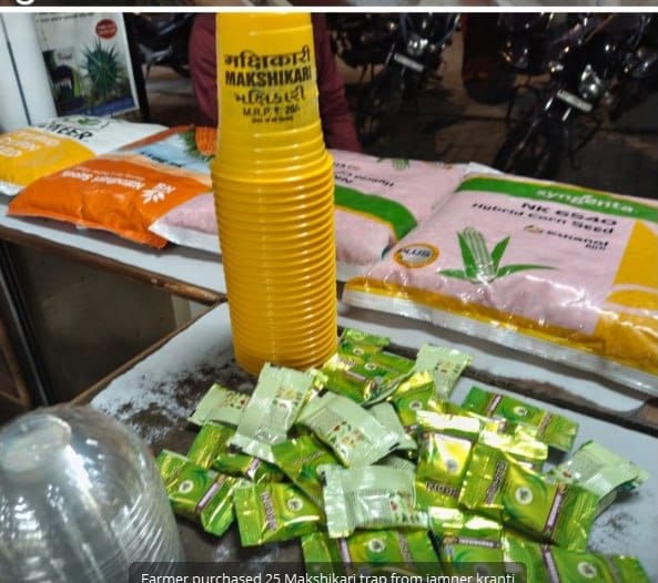 Customer photo review of Makshikari Lure & Trap for Fruit Fly Control