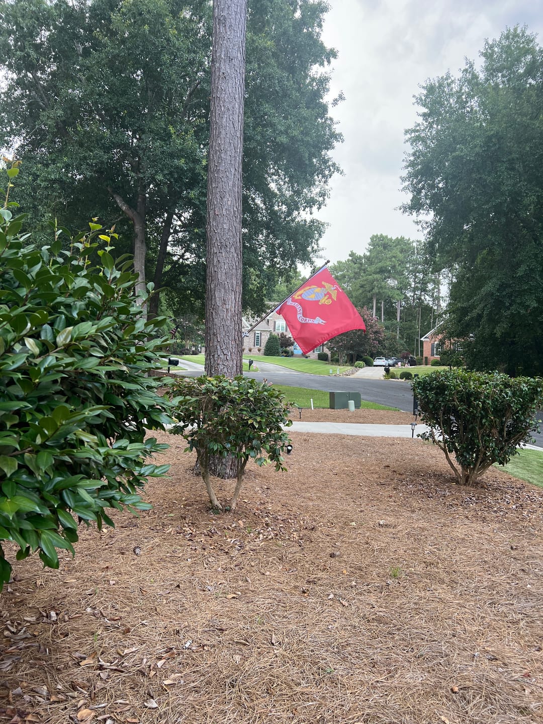 Customer photo review of United States Marines USMC Flag / Marine Corps Flag