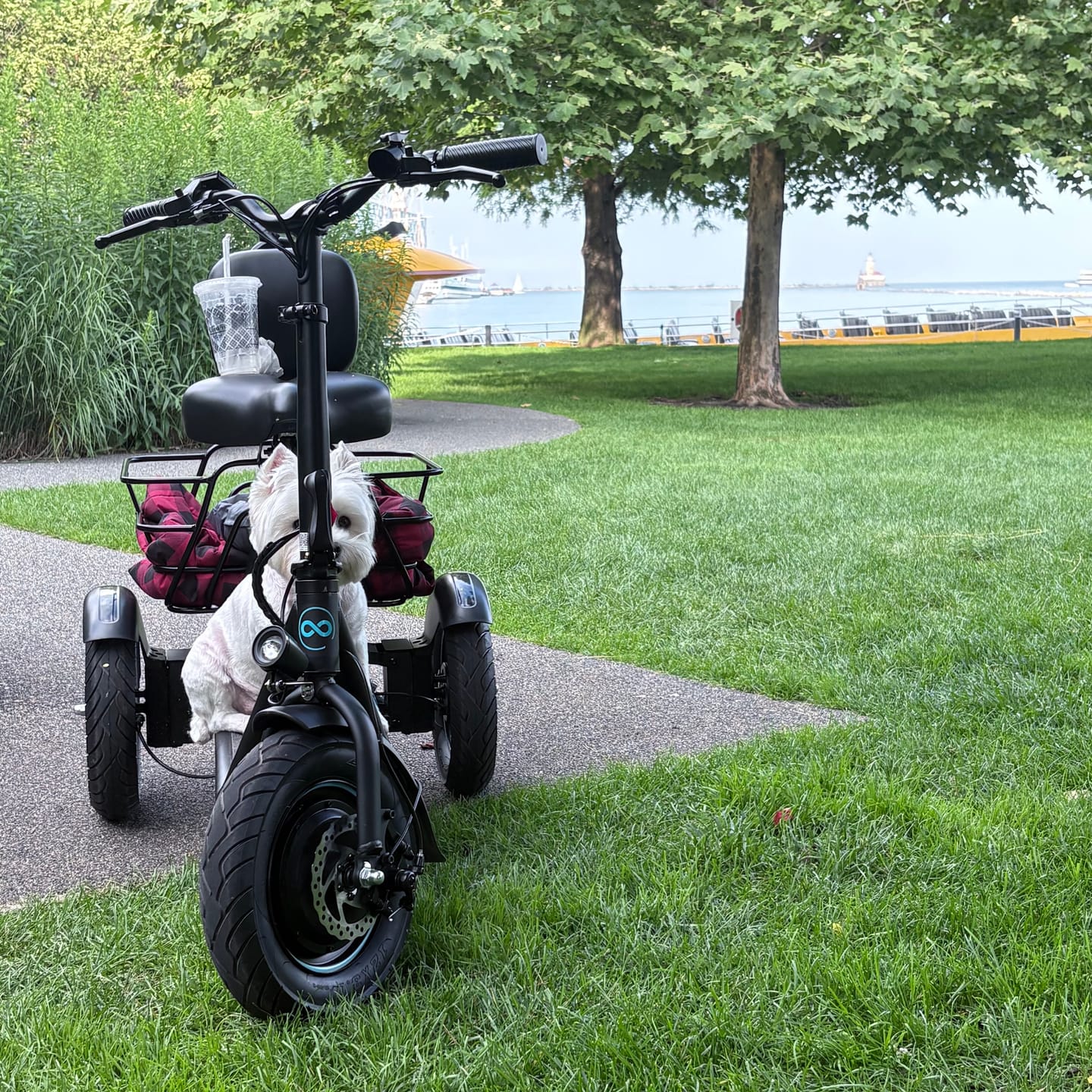 Customer photo review of [Pre Order] Gyroor C5 Electric Trike with Removable Dual Baskets,1000W(Peak) & 30Miles