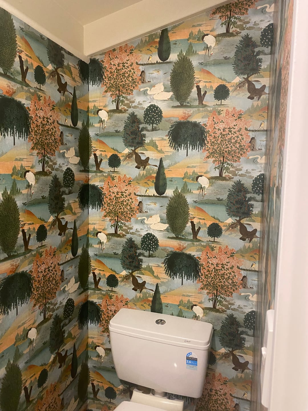 Customer photo review of Tundra - Scenic Landscape Wallpaper - Orange/Green - Discontinuing
