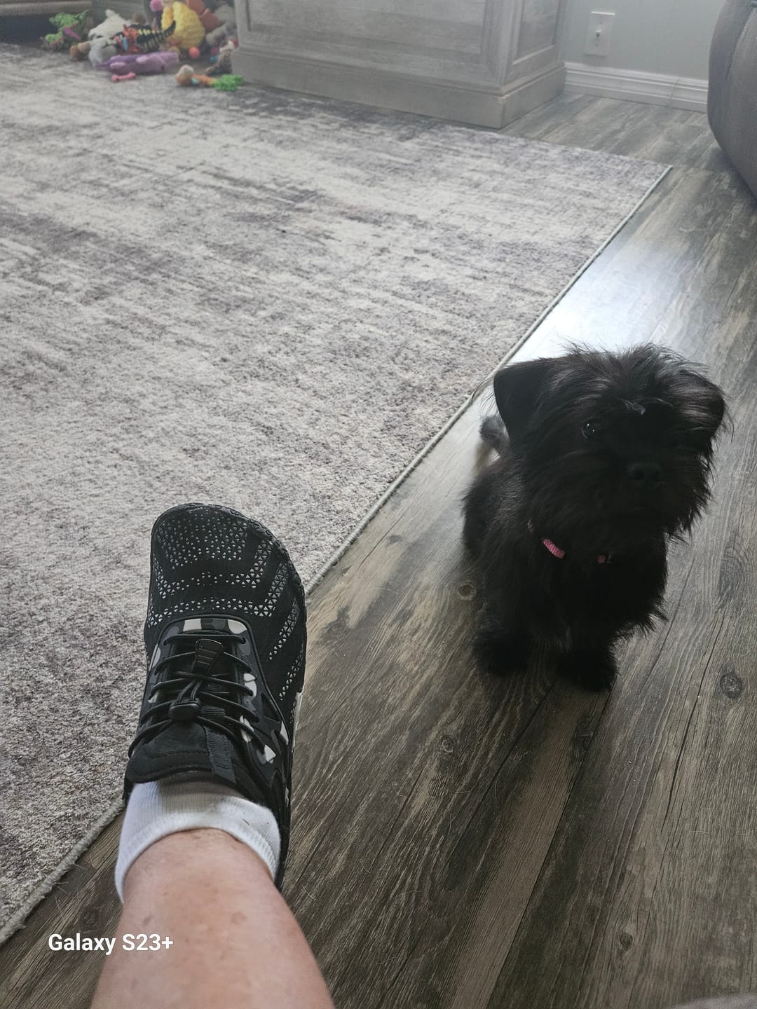Customer photo review of FluxTrail