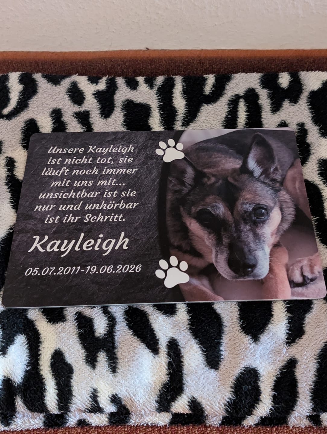 Customer photo review of Hunde Gedenktafel mit Foto & Spruch (UV- & Wetterfest)