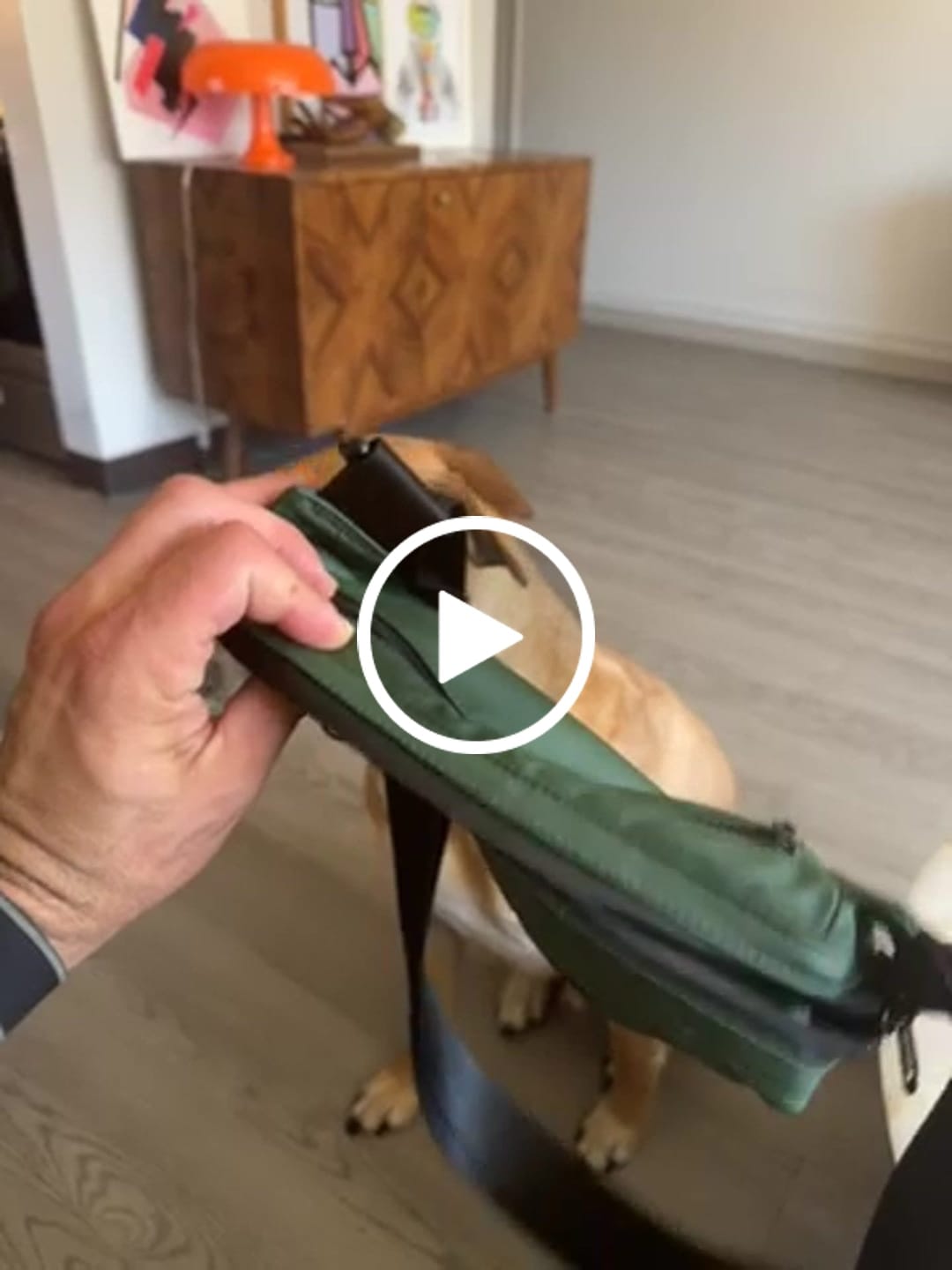 Customer video review of Cascade Crossbody Bag