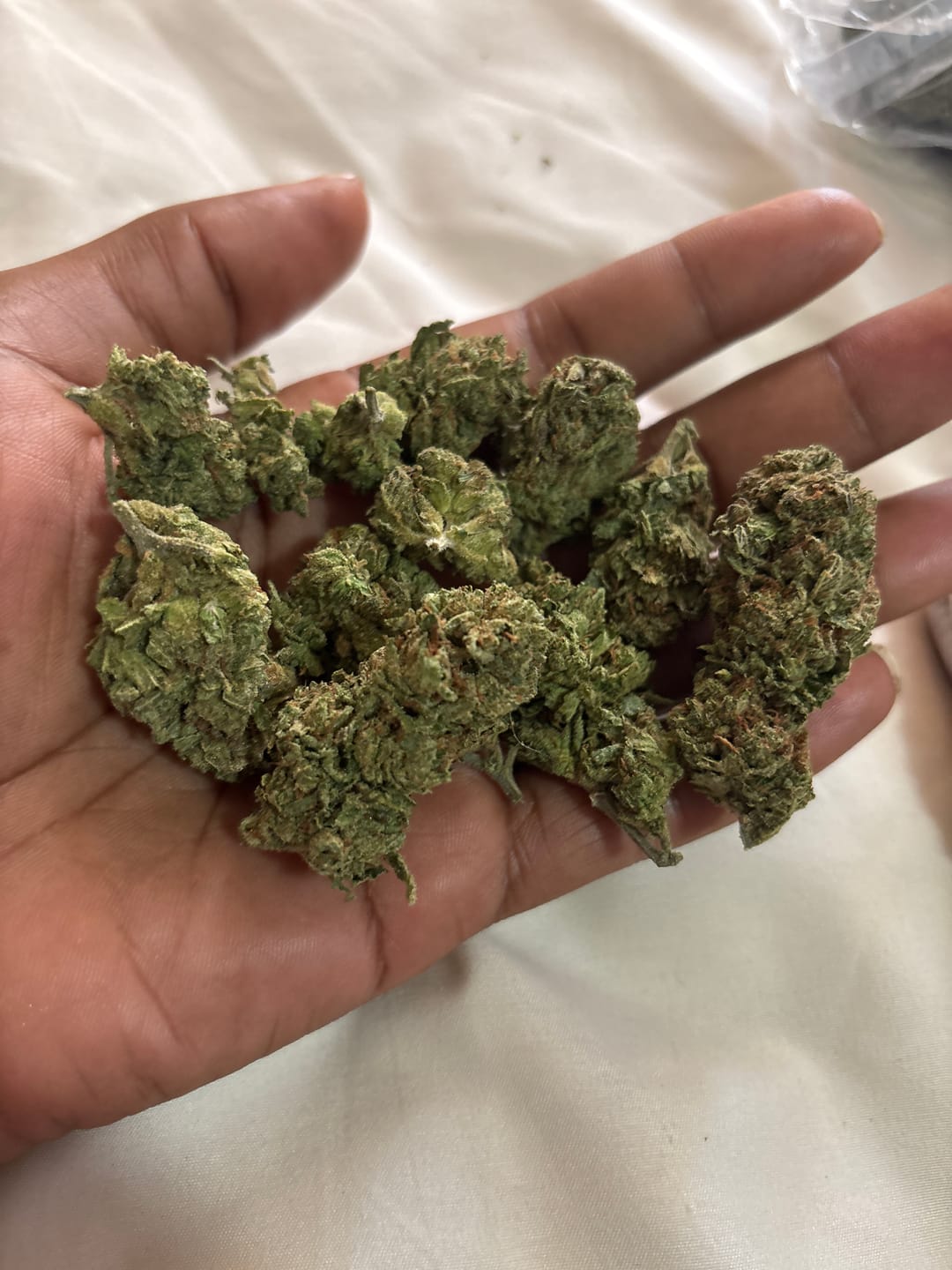 Customer photo review of Oakland Runtz - Bulk - Hybrid