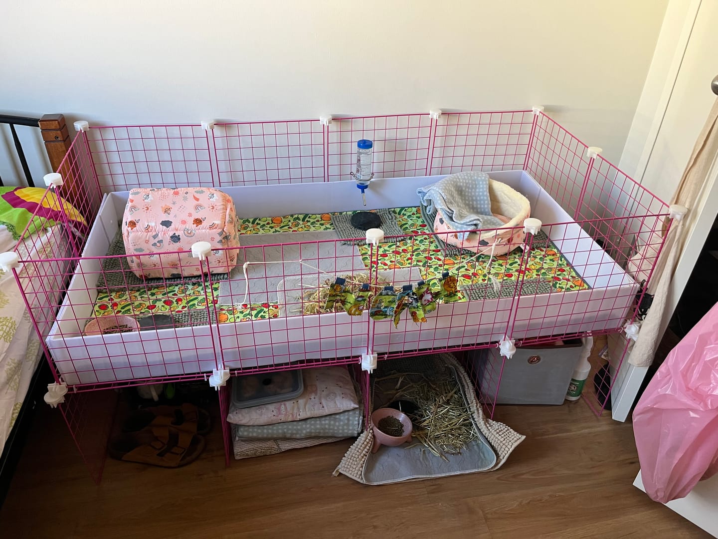 Customer photo review of 2 x 4 Ozzy C&C Cage Stand