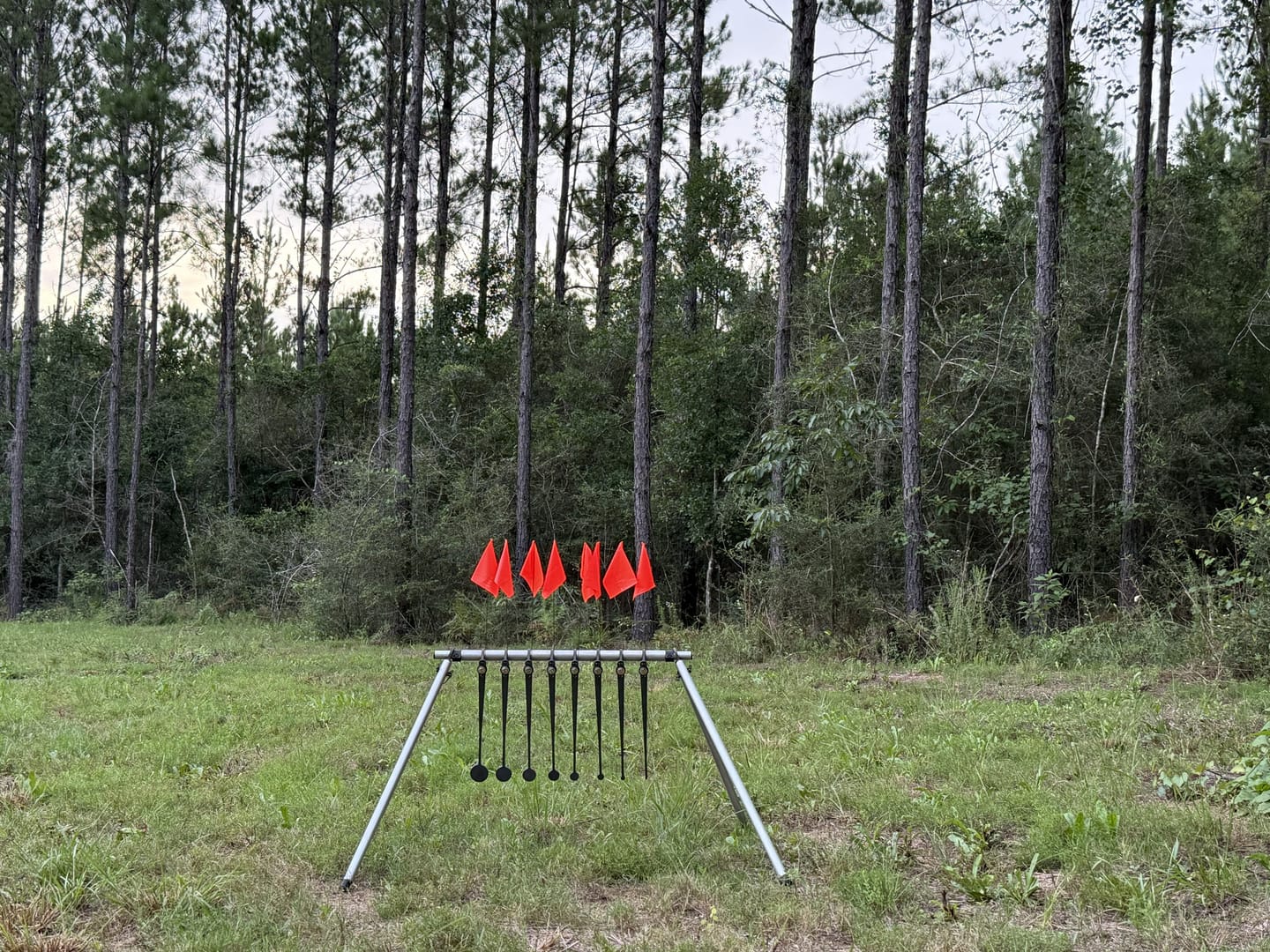 Customer photo review of Know Your Limits (KYL) Target System