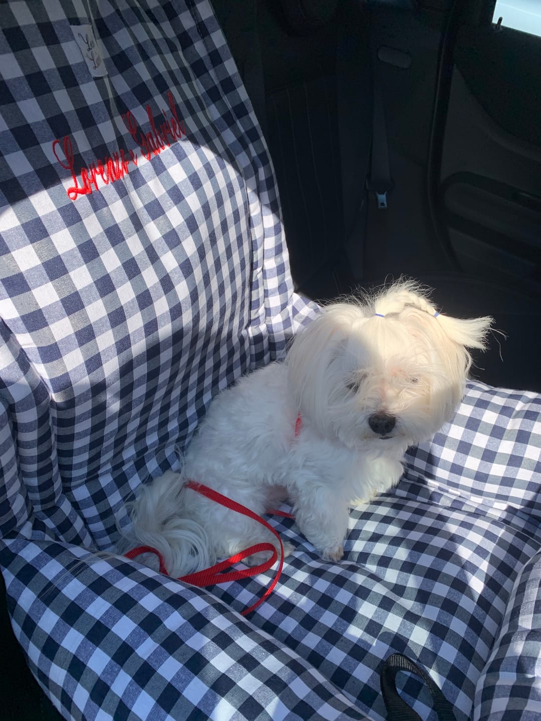 Customer photo review of Seggiolino Auto Cotone Quadretto Navy