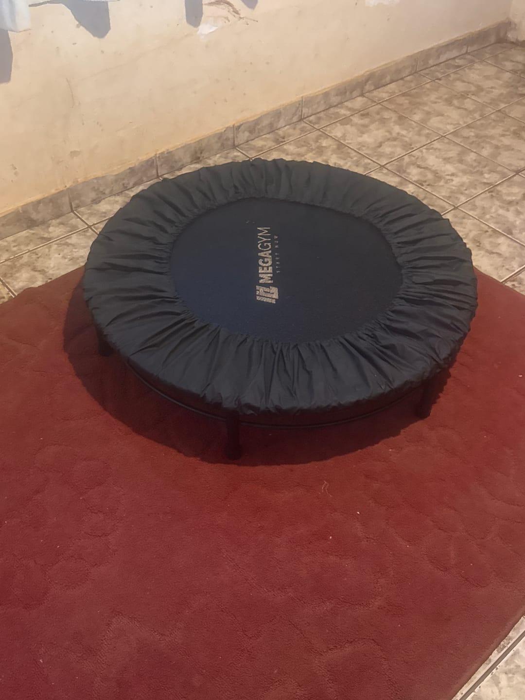 Customer photo review of Mini Jump Trampolim Profissional 36 Molas