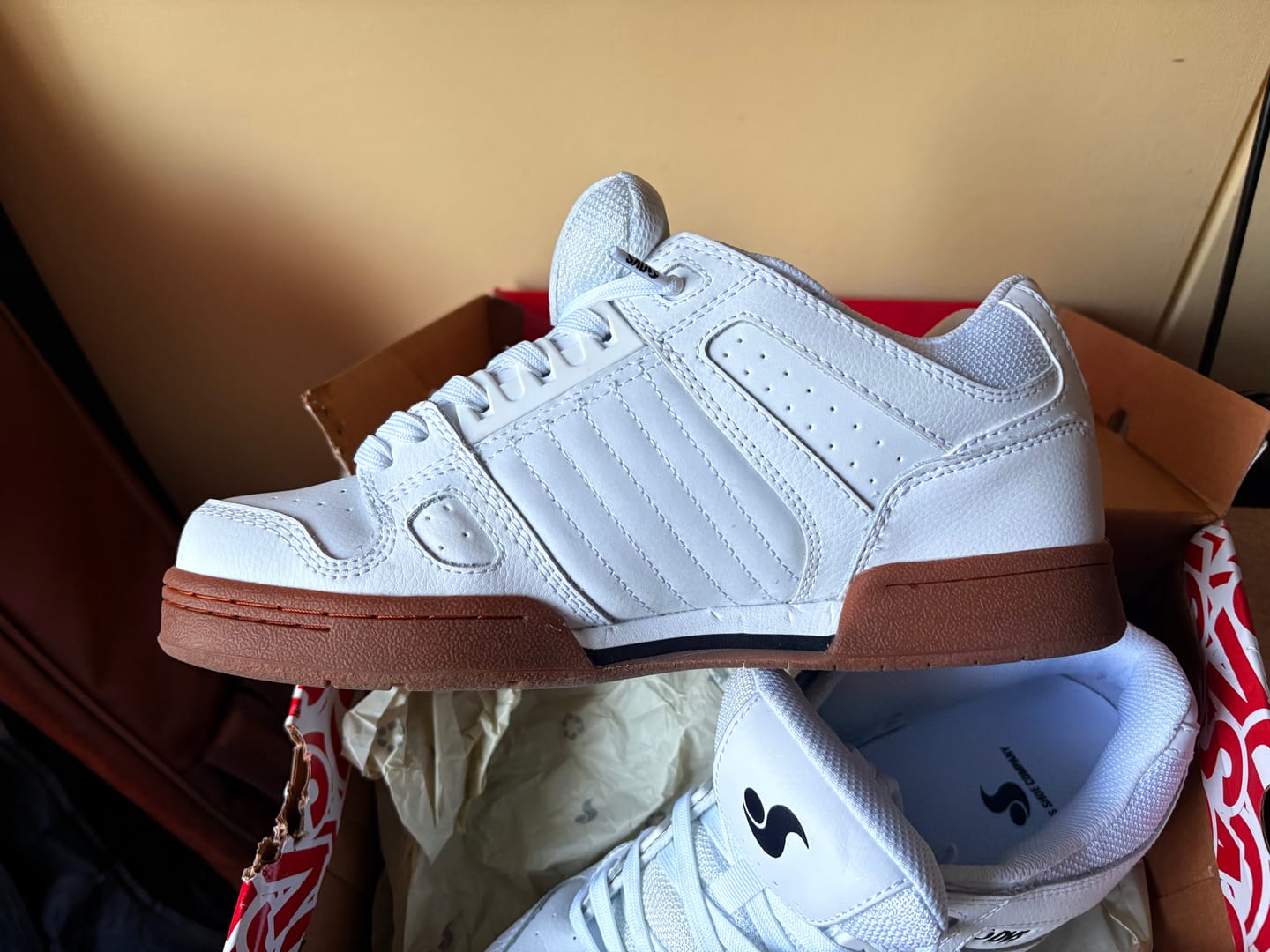 Customer photo review of Zapatillas Dvs Celsius Hombre Blanco