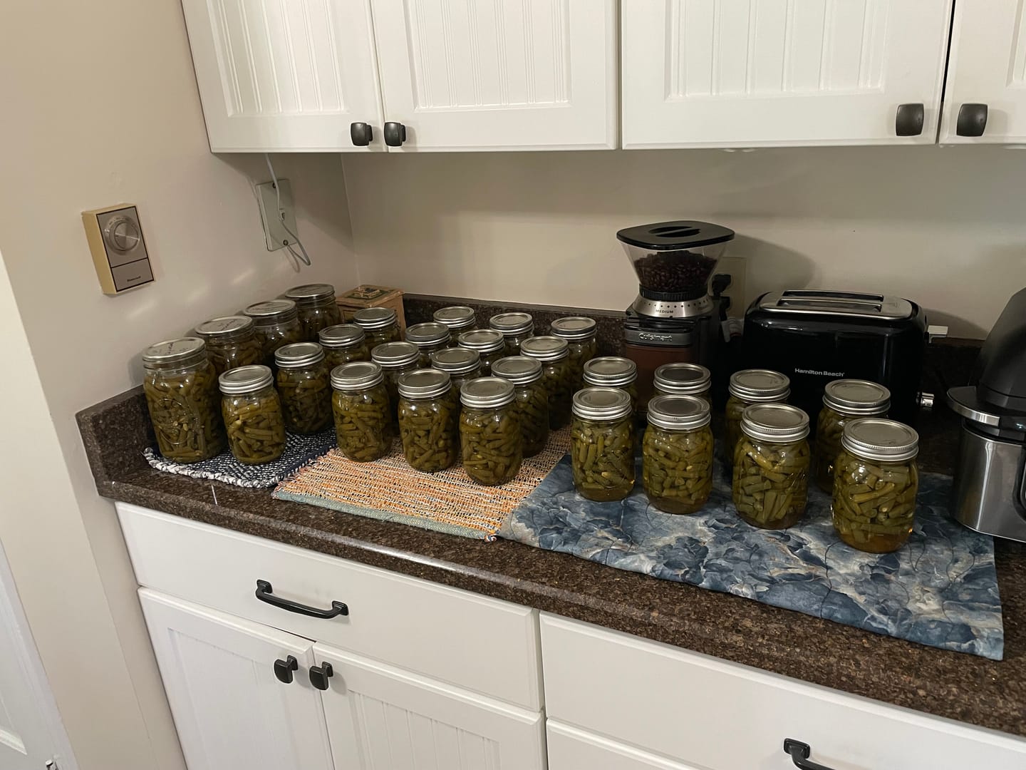 Customer photo review of Indiana Green Beans BU