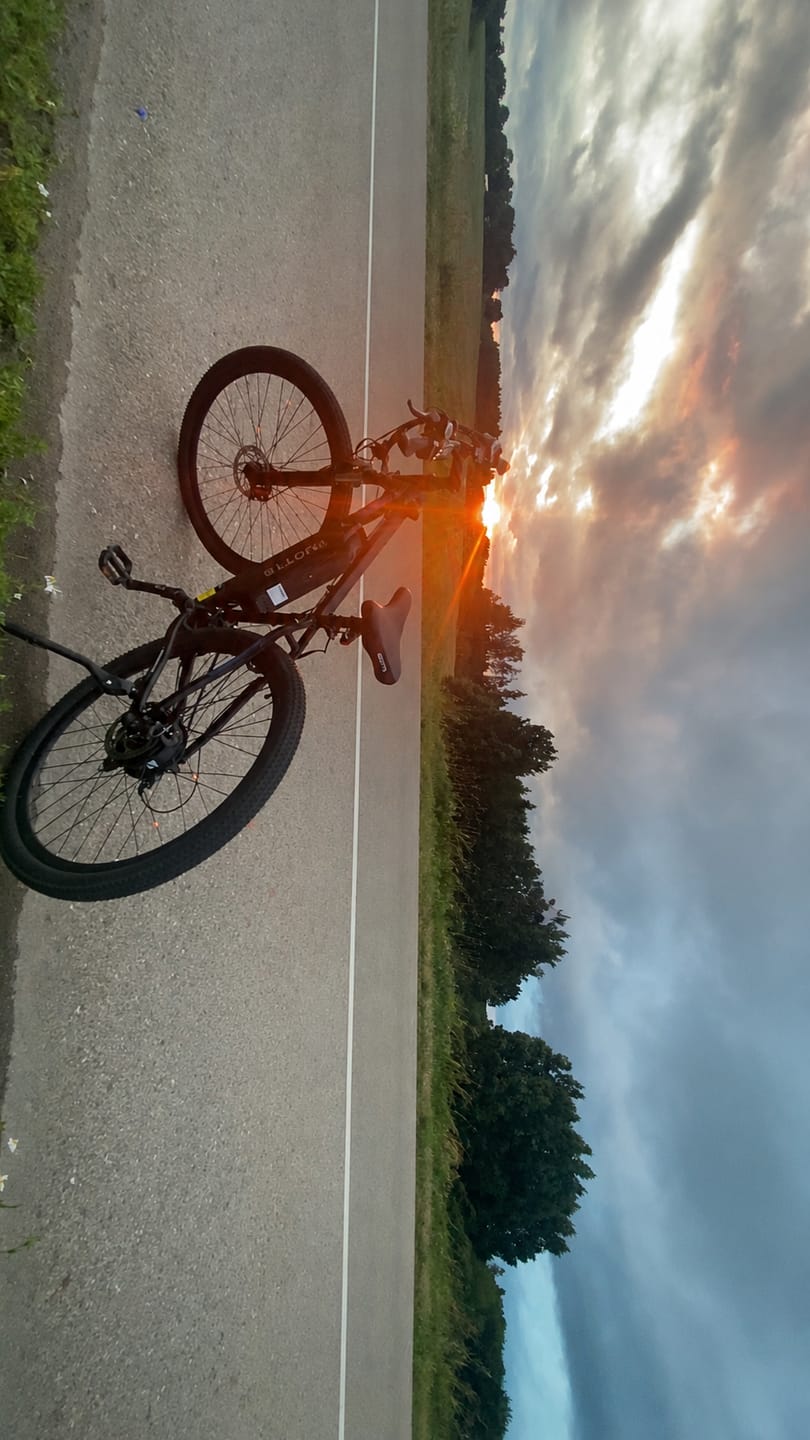 Customer photo review of DUOTTS C29 Electric Bike