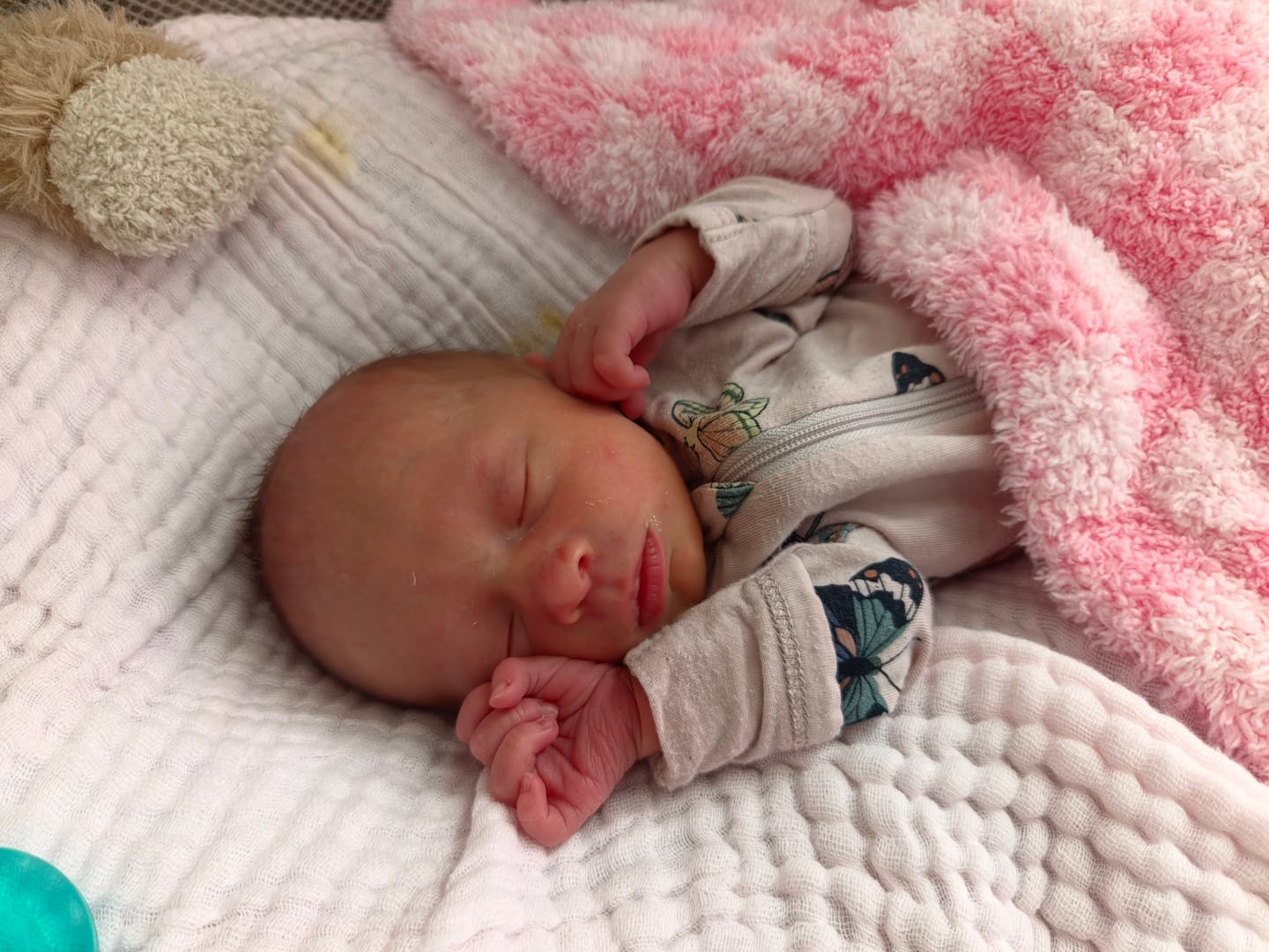 Customer photo review of Cotton Candy Check Print Lovey