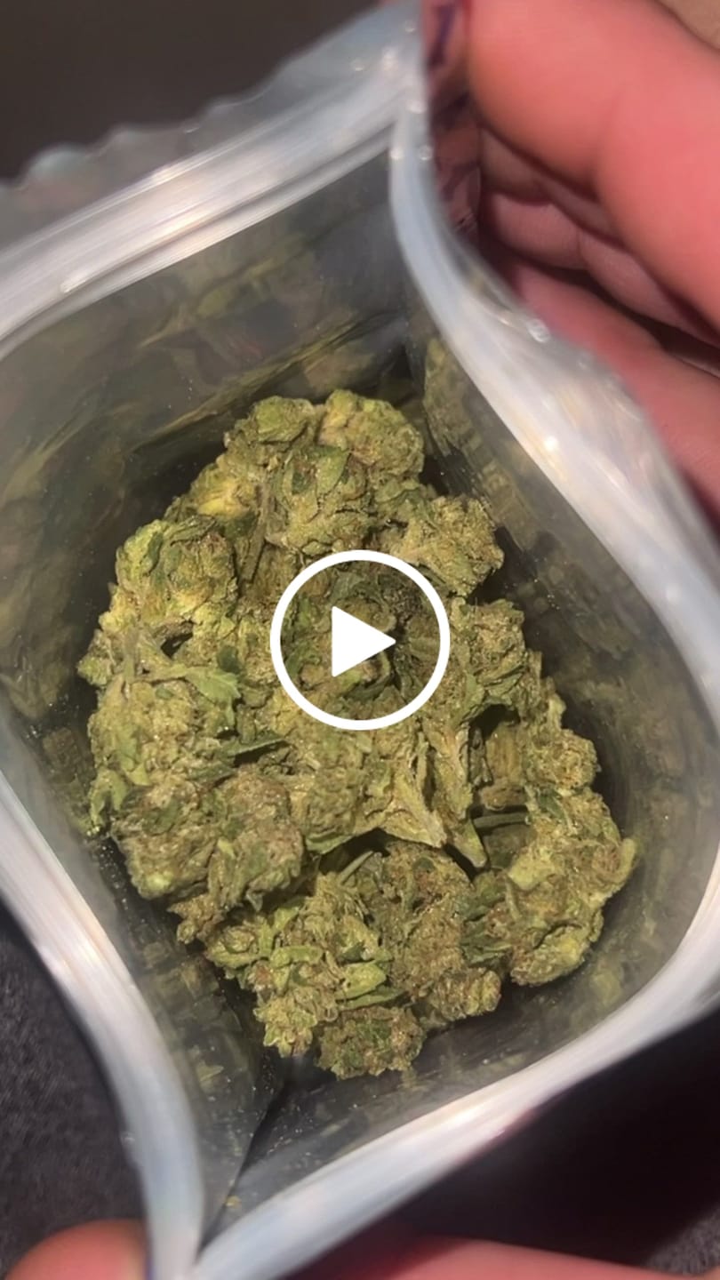 Customer video review of Gelato 41 - 28 Grams - Hybrid