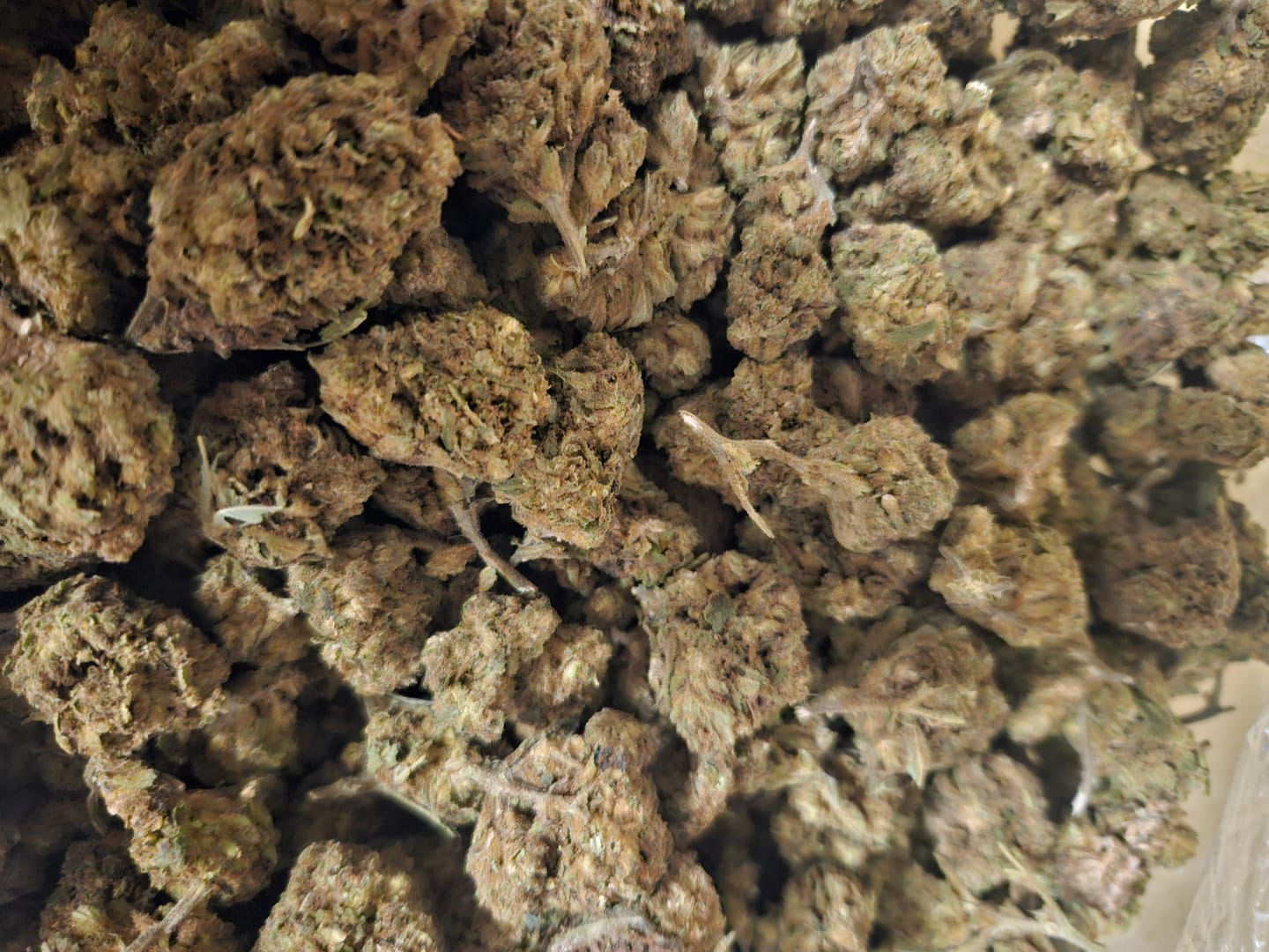 Customer photo review of Amnesia Haze - Bulk - Sativa