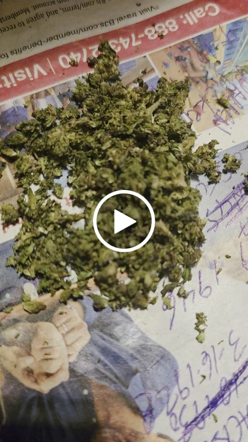 Customer video review of White Widow - 28 Grams - Hybrid
