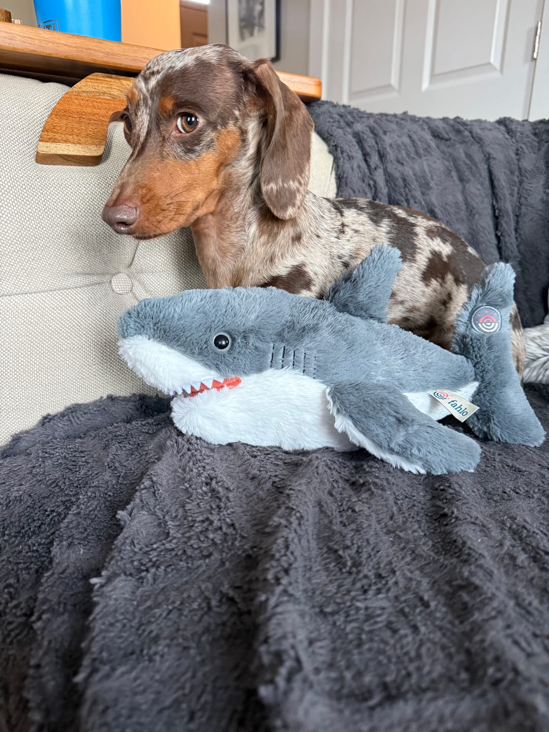 Customer photo review of The Voyage Plush