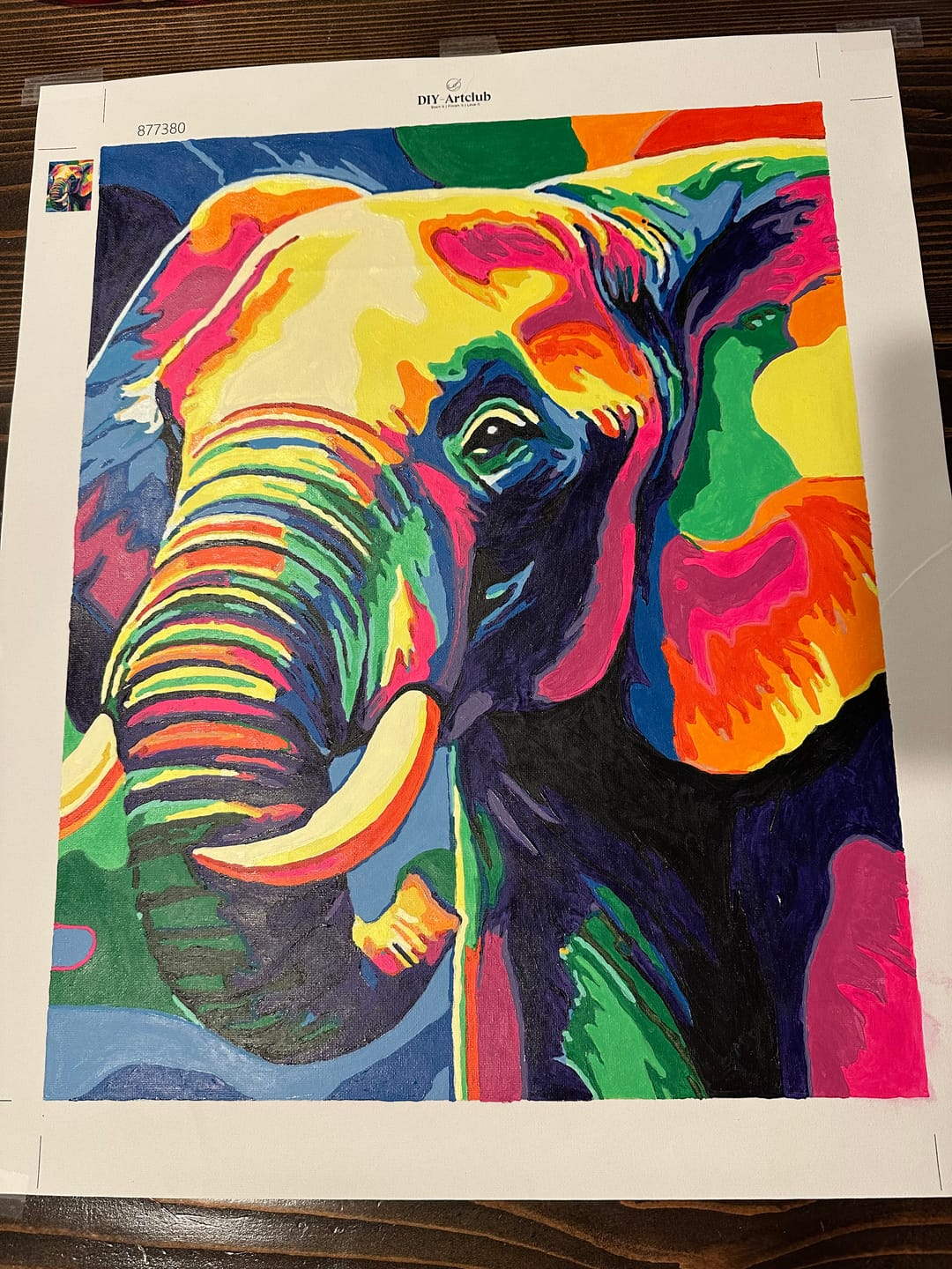 Customer photo review of Hide & Paint Marker – For Paint by Numbers