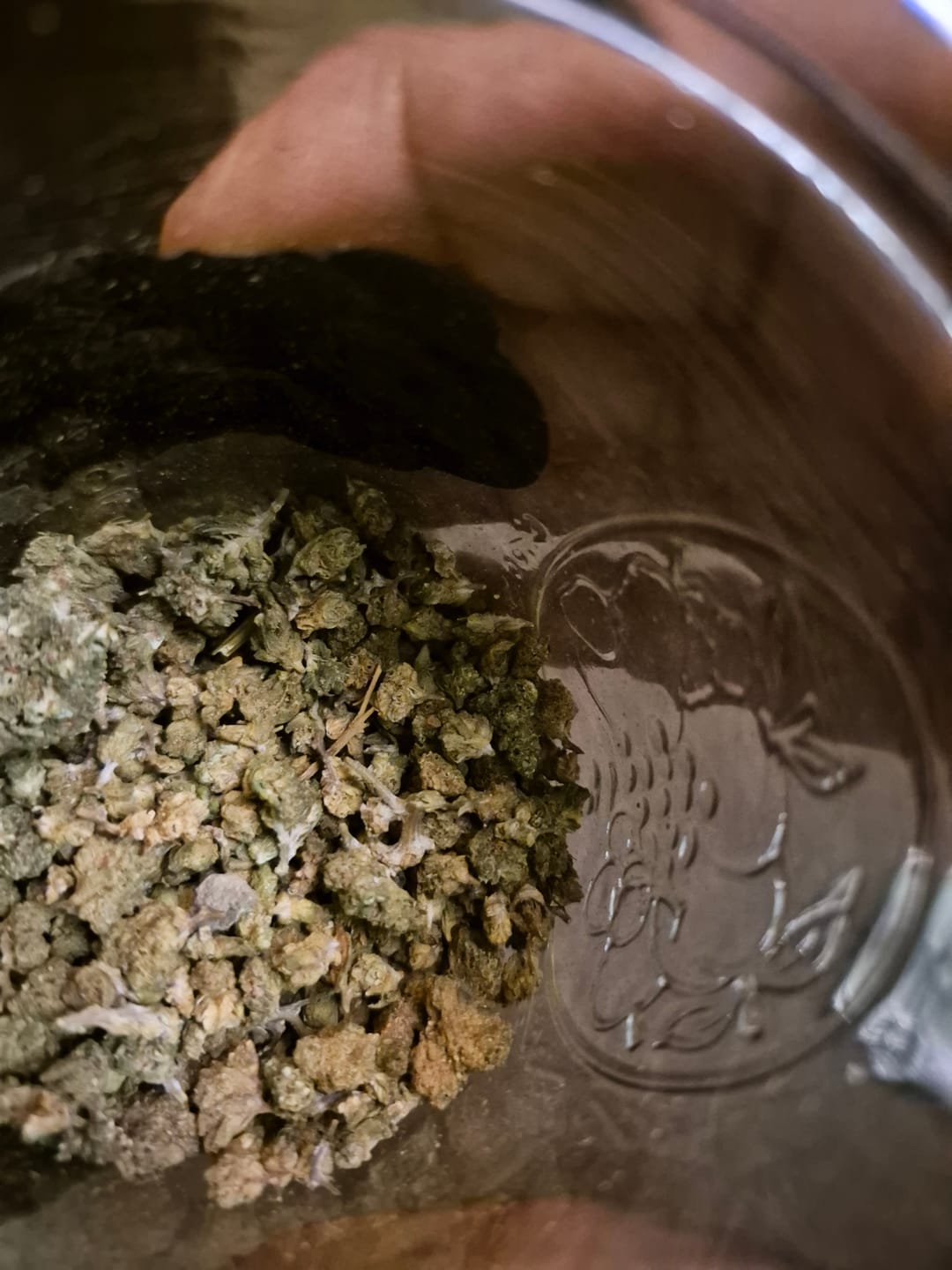 Customer photo review of White Widow MICROS - 28 Grams - Hybrid