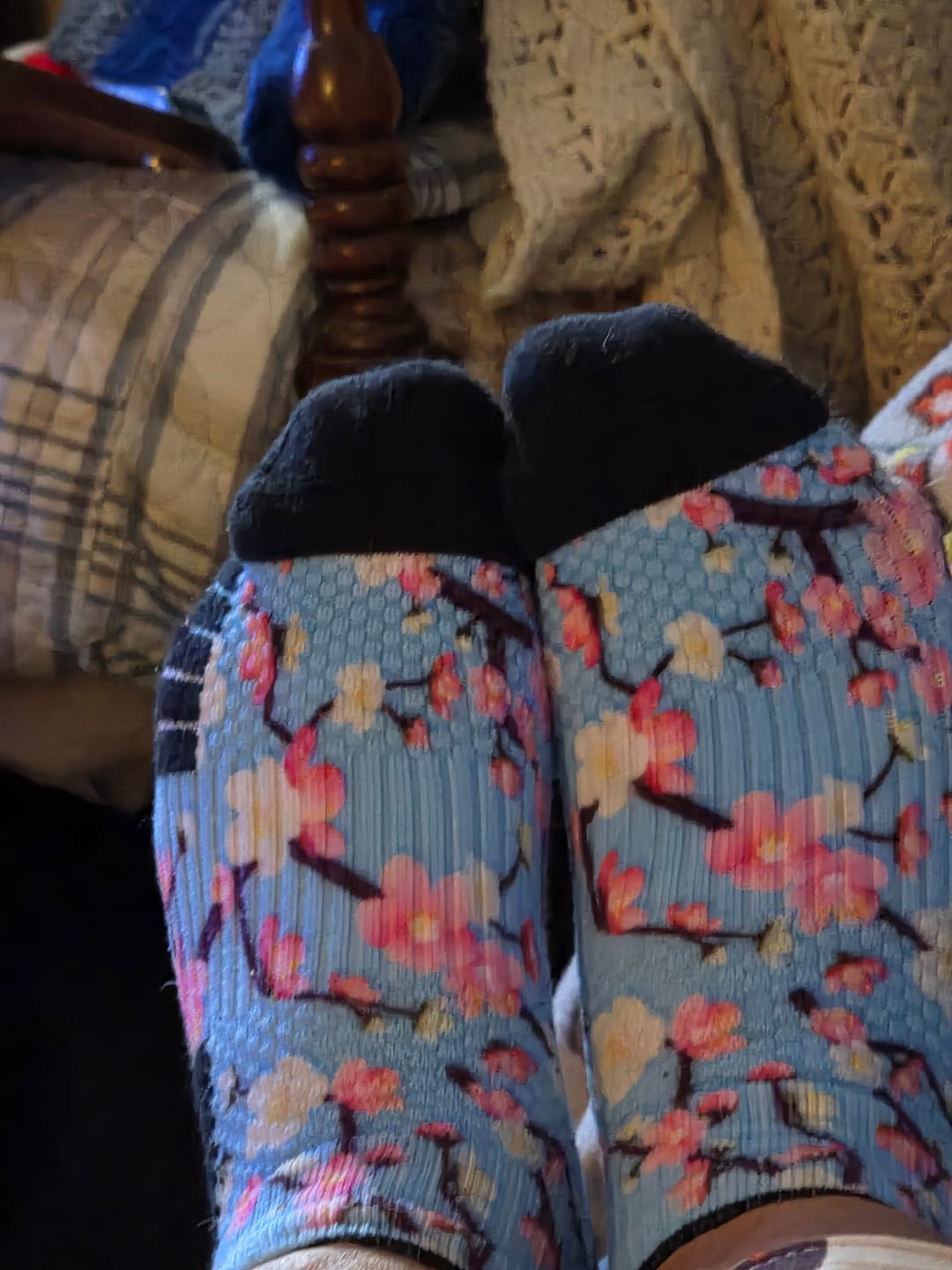 Customer photo review of Pet Garden Ankle Compression Socks 5-Pack Bundle