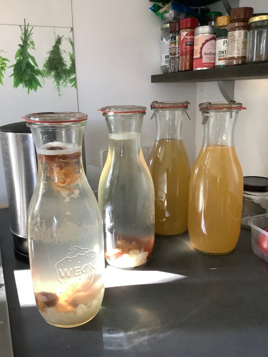 Customer photo review of BIO Wasserkefir Kristalle (30g)