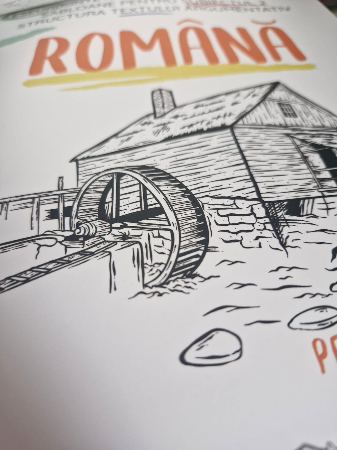 Customer photo review of Carte Română Bacalaureat Bacademia (temă și viziune, caracterizare, relație) - Ediția II